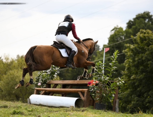 Dofin wins National Championship in highest level of Eventing