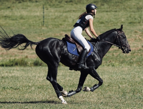 Rysal-Ser with an excelent 3rd place at National Eventing Championship on A-level